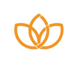 فروش عمده نشاسته دردانه