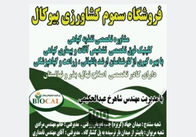 فروش نشا ریشه لخت و گلدانی توت فرنگی