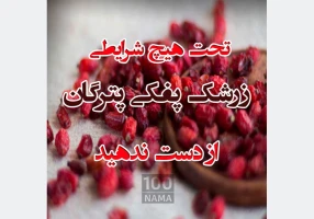 فروش زرشک پفکی