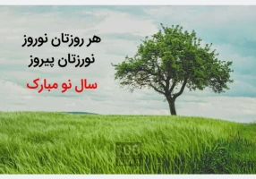 خدمات برق در ساوجبلاغ