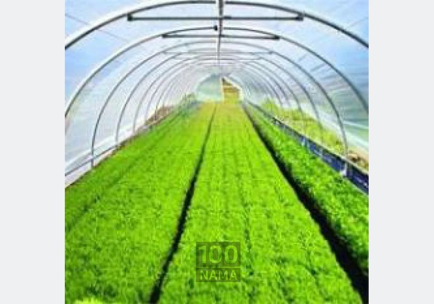 تولید کننده نایلون گلخانه و کشاورزی aspect-image