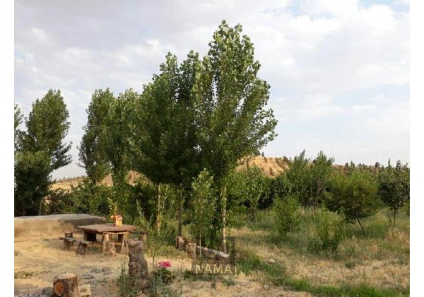 فروش باغ و ویلا و زمین در متراژ های متنوع- کردان