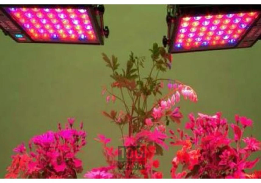 فروش و طراحی انواع چراغ های رشد گل و گیاه
