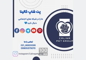 پت شاپ کالینا