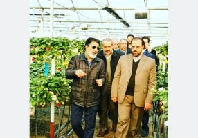 تعاونی گلخانه داران آذربایجان غربی