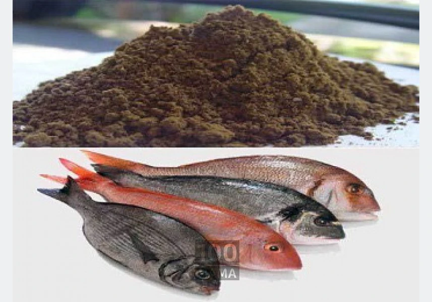 پودر ماهی - سبوس برنج - ذرت - گلوتن ذرت aspect-image