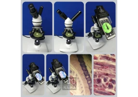 فروش میکروسکوپ دانش آموزی استاد دانشجو