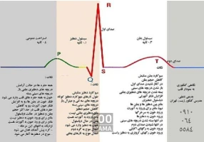تدریس زیست کنکور به سبک استاد بدیعی
