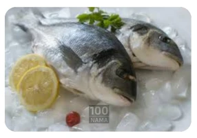 فروش عمده ماهی  تازه اقیانوسی جنوب