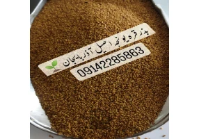 فروش انواع بذر علوفه