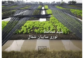 توری سایبان شید گلخانه