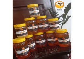 تولید عسل مرغوب کوهستان