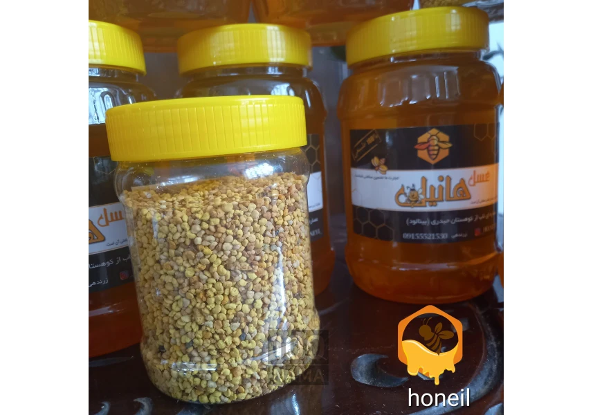 تولید عسل مرغوب کوهستان