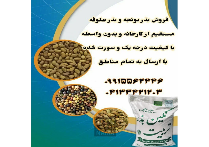 بذر یونجه و بذر علوفه سورت شده