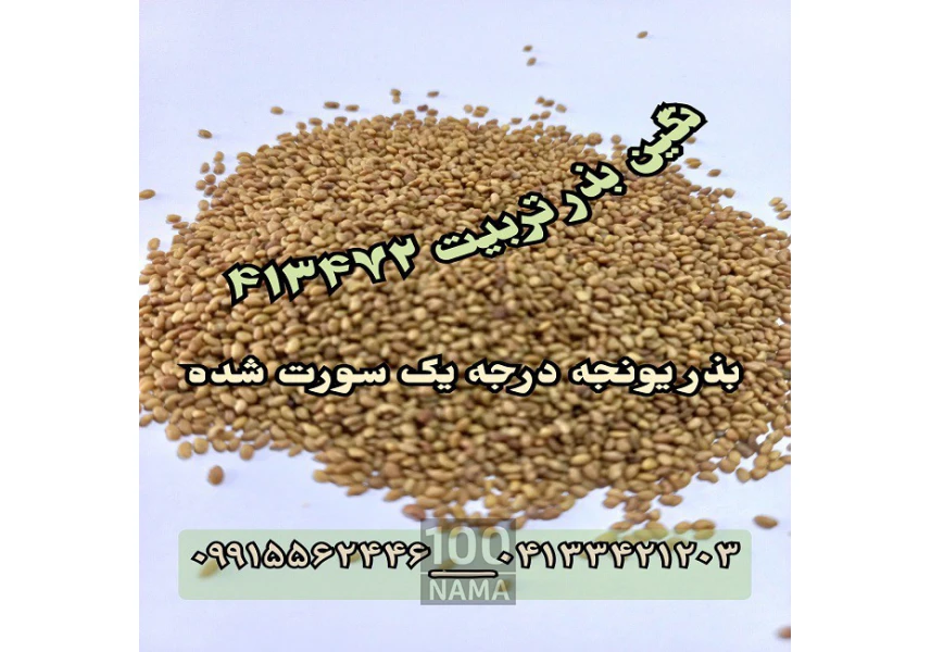 بذر یونجه و بذر علوفه سورت شده