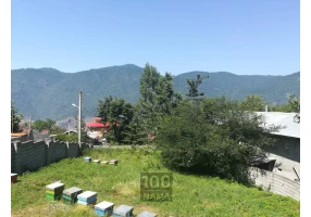 455 متر زمین داخل بافت مسکونی روستای چلاو