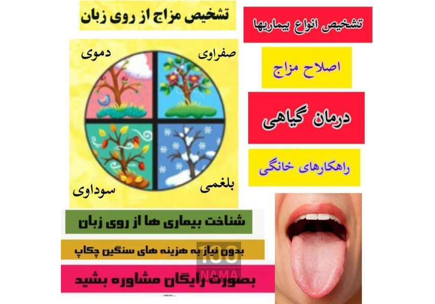 آموزش گیاه شناسی و طب سنتی