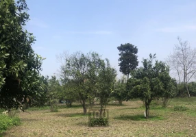 زمین جنگلی مسکونی