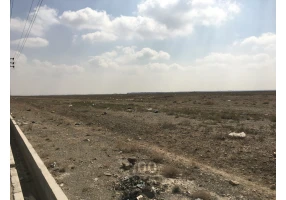 زمین 250 متری در گلبهار