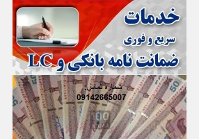 سرمایه و کالا در قبال ضمانت نامه بانکی و LC