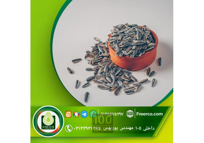 فروش عمده طعم دهنده تخمه