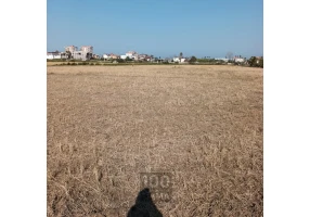 1308 متر زمین قلب نشتارود