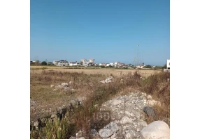 1308 متر زمین قلب نشتارود