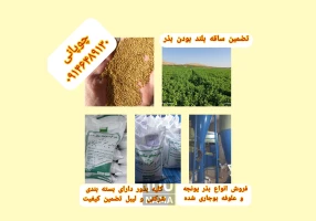 فروش بذر یونجه و سایر علوفه رقم استاندارد
