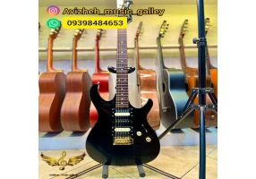 خرید گیتار الکتریک از فروشگاه آویژه کرج