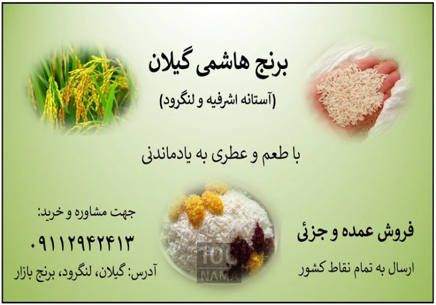 فروش برنج هاشمی درجه یک آستانه و لنگرود گیلان aspect-image