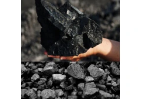 فروش عمده انواع زغال سنگ از معدن