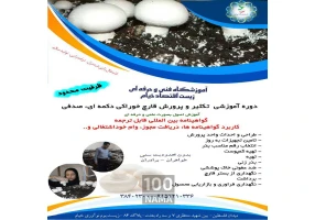 دوره آموزشی تکثیر و پرورش قارچ خوراکی