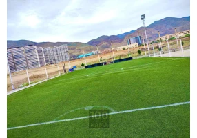 زمین فوتبال مصنوعی دانش تهران