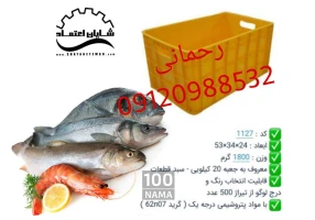 جعبه ماهی - باسکت ماهی