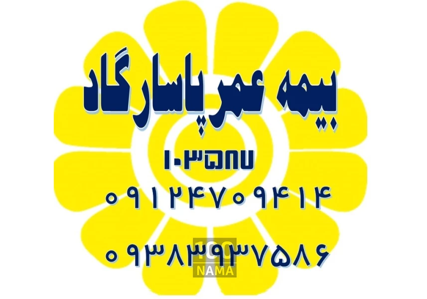 نمایندگی بیمه عمر پاسارگاد 103587 دوستی