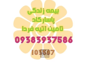 نمایندگی بیمه عمر پاسارگاد 103587 دوستی