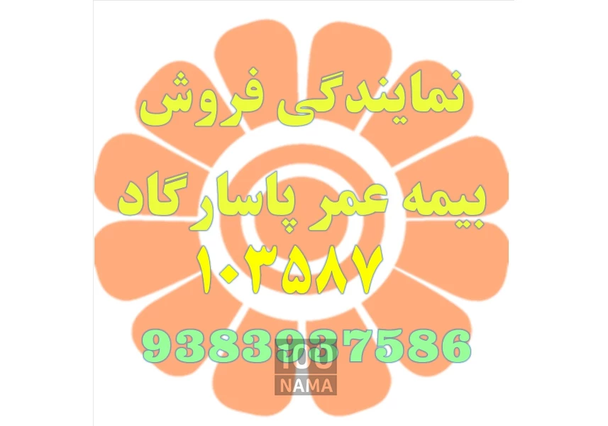 نمایندگی بیمه عمر پاسارگاد 103587 دوستی