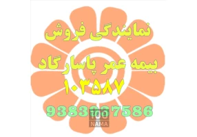 نمایندگی بیمه عمر پاسارگاد 103587 دوستی