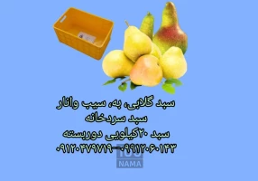 سبد میوه و مرکبات ،سبد خشک کن میوه،سبد گلابی