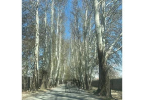 ۳۶۰ متر زمین سندتکبرگ روستای رضا آباد کرج