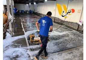 قالیشویی در تهرانپارس - قالیشویی طلوع