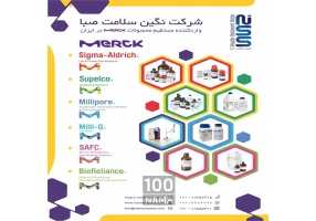 نگین سلامت صبا