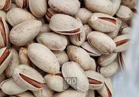 فروش پسته و مشتقات پسته