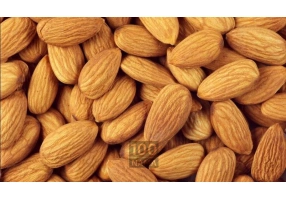 فروش و توزیع انواع خشکبار قزوین