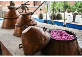 ایجاد کارگاه گلاب و عرقیات