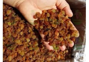 تامین و فروش عمده انواع کشمش