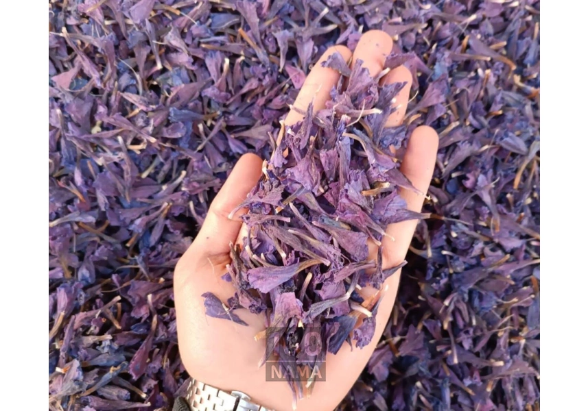 فروش عمده گل گاوزبان تازه چین با قیمت مناسب