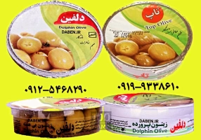 زیتون دلفین