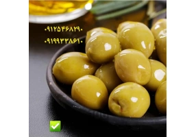 زیتون دلفین