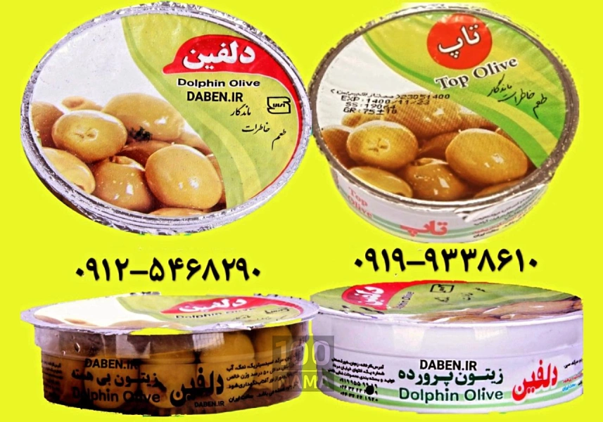 زیتون دلفین